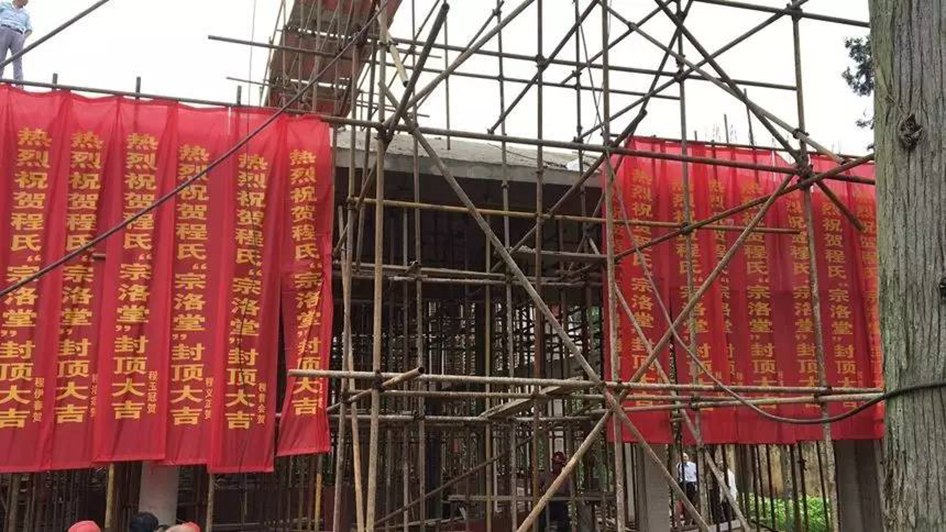 枞阳县健身训练:从新手到专业,一步步迈向健康生活